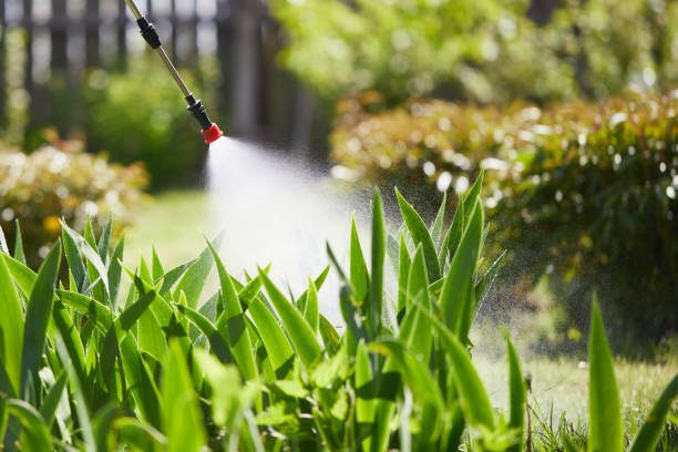 24/7 Emergency Ant Control experts in New Hope, MS